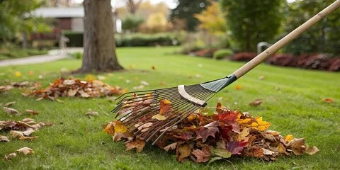 Professional gardener maintaining a lush garden