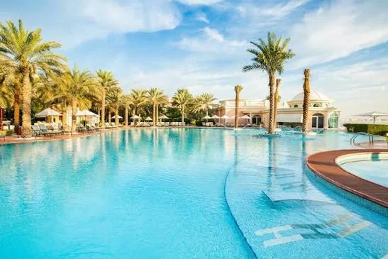 Professional cleaning and maintenance of a swimming pool
